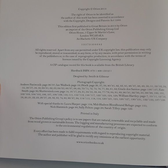 Dogs Hanging out of Windows - Picture 10 of 11